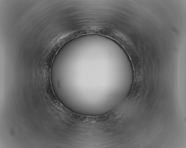 X0000115260773200911131745