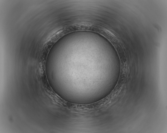 X0000115260774200911131745