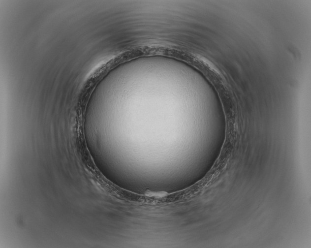 X0000115260775200911131745