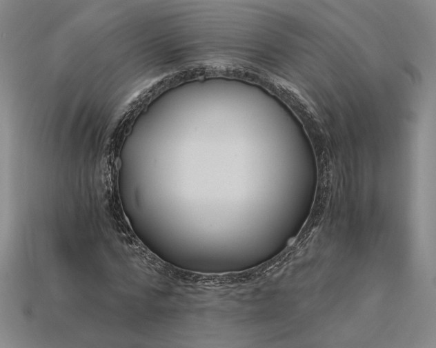 X0000115260776200911131745