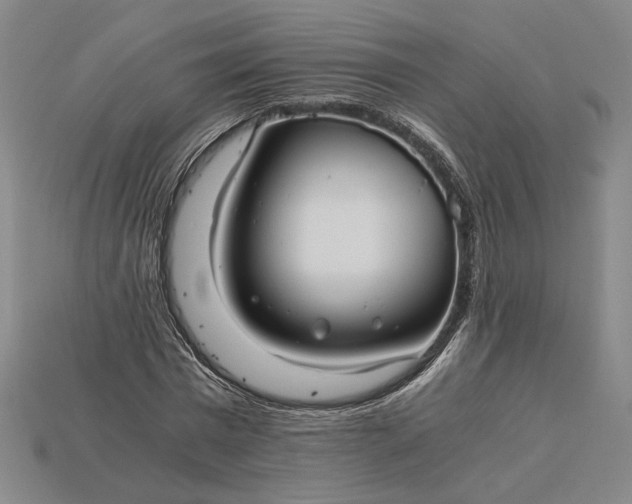 X0000115260777200911131745