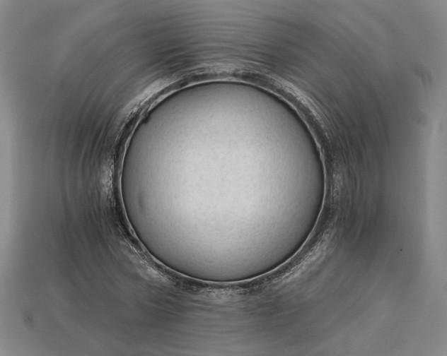 X0000115260778200911131745