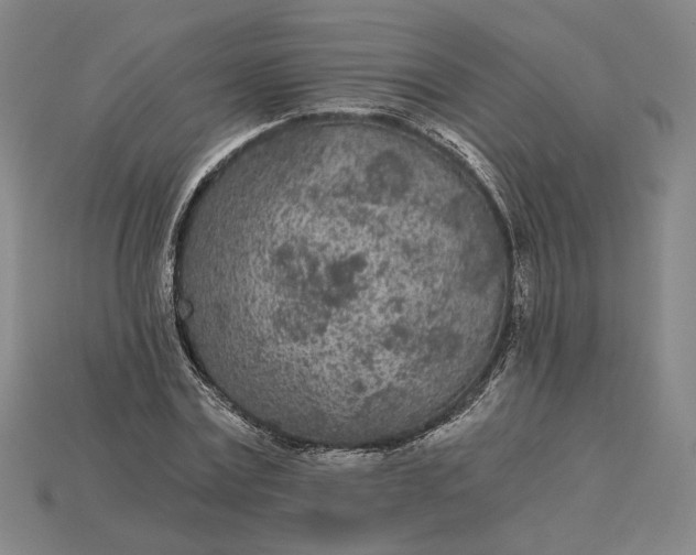 X0000115260779200911131745