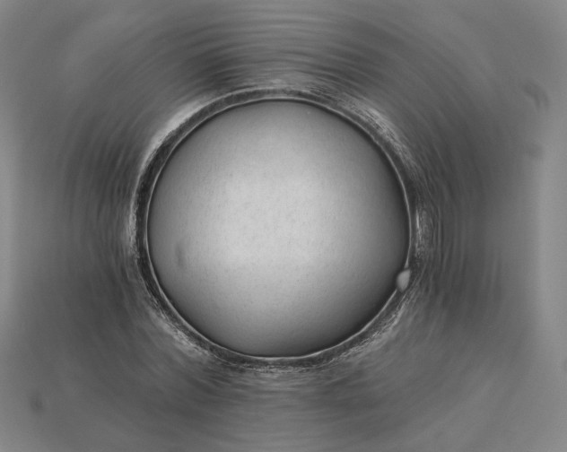 X0000115260780200911131745