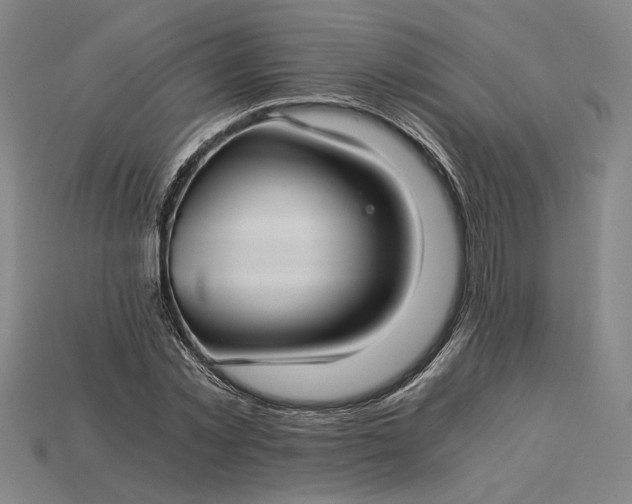 X0000115260781200911131745