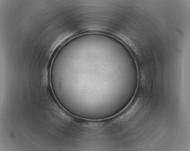 X0000115260782200911131745