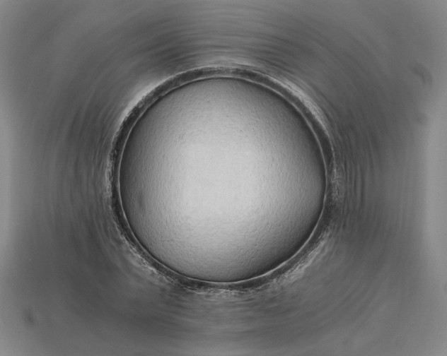 X0000115260783200911131745