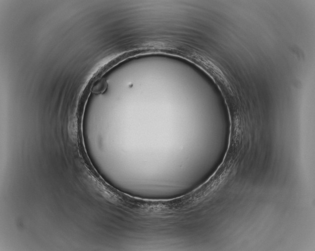 X0000115260784200911131745