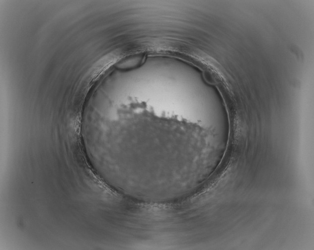 X0000115260785200911131745