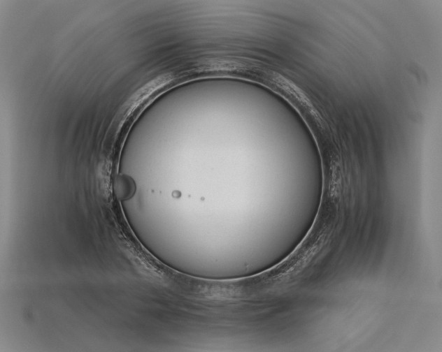 X0000115260786200911131745