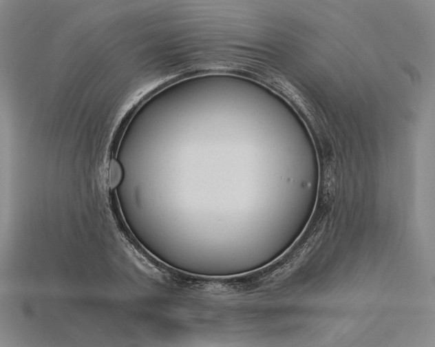 X0000115260787200911131745
