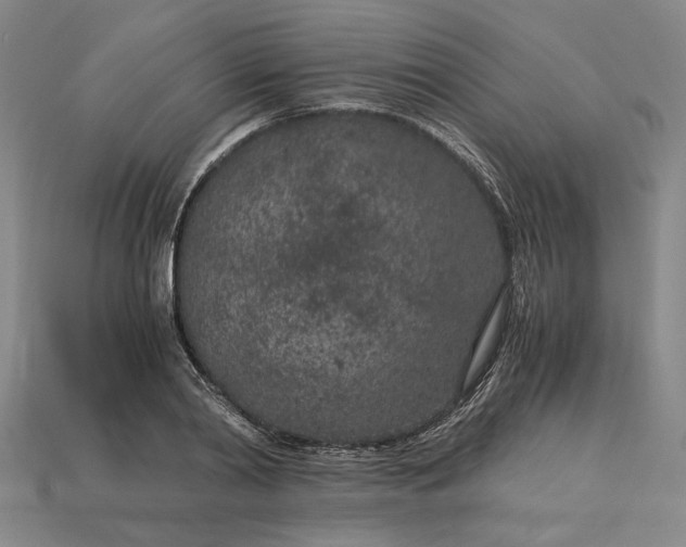 X0000115260790200911131745