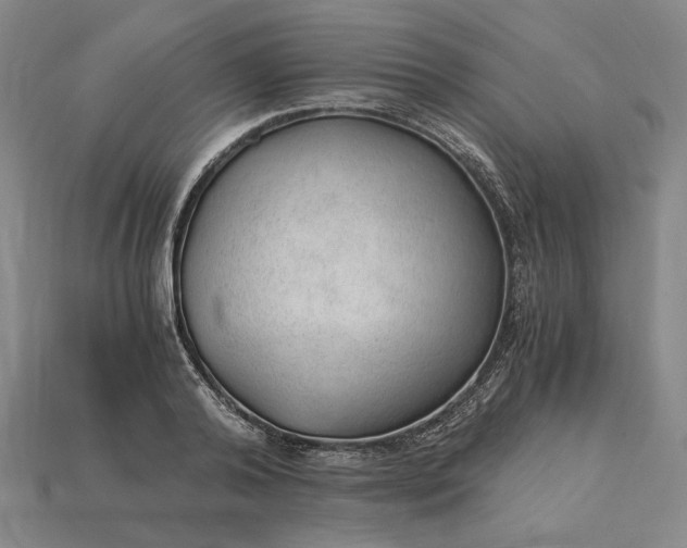 X0000115260792200911131745