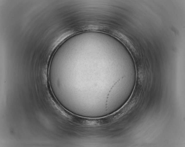 X0000115260794200911131745