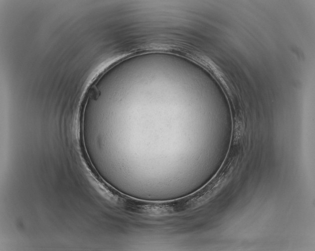X0000115260795200911131745