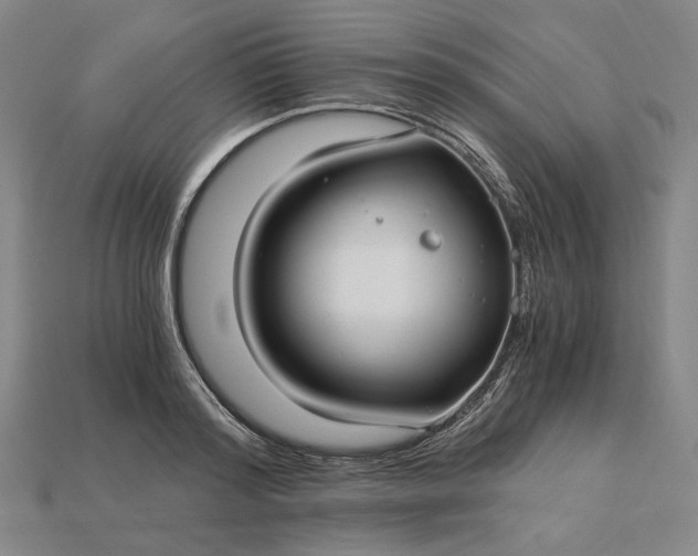 X0000115260796200911131745