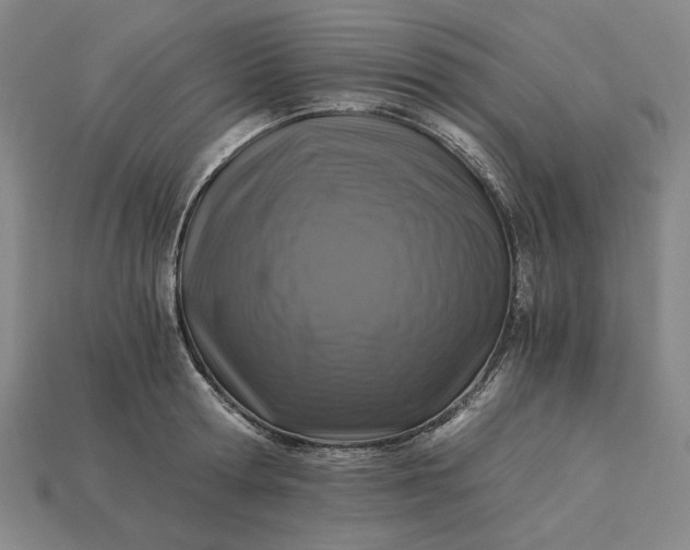 X0000115260802200911131745