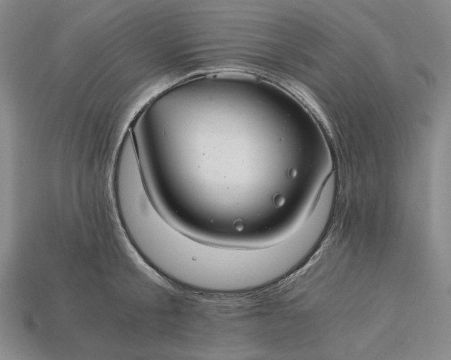 X0000115260805200911131745