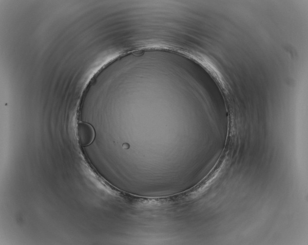 X0000115260806200911131745