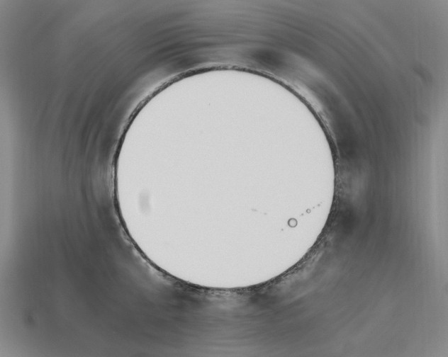 X0000115260807200911131745