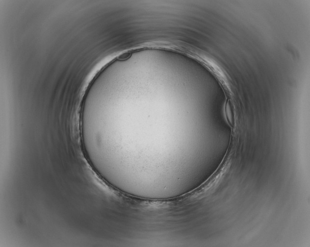 X0000115260808200911131745