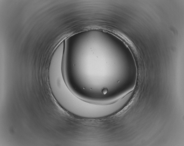 X0000115260809200911131745