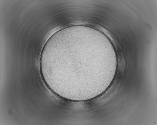 X0000115260810200911131745