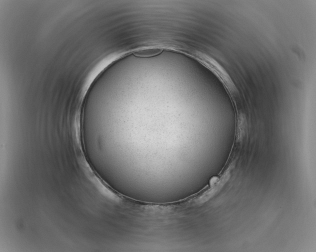 X0000115260812200911131745
