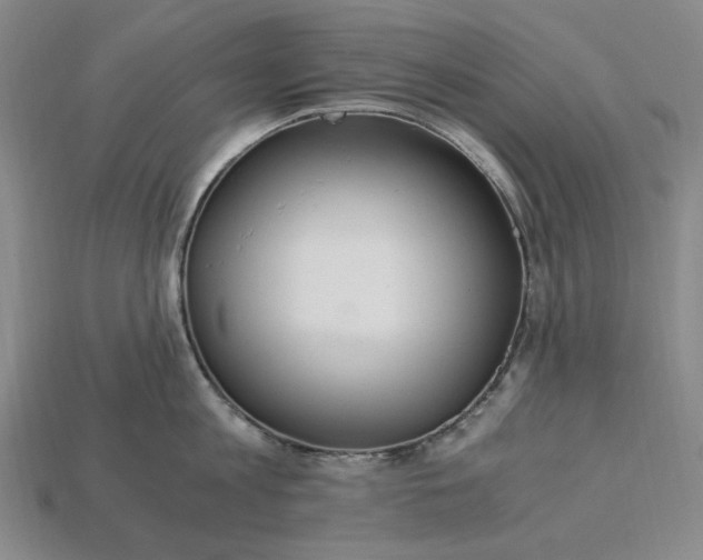 X0000115260813200911131745