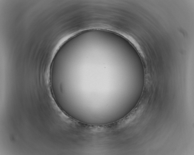 X0000115260815200911131745