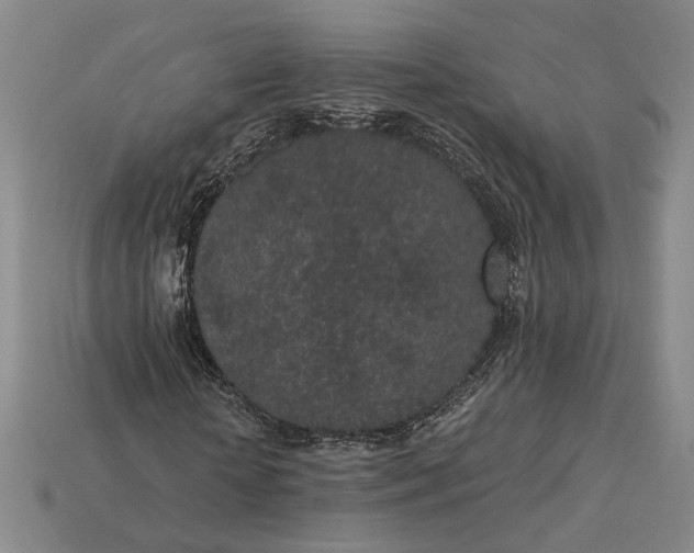 X0000115260818200911131744