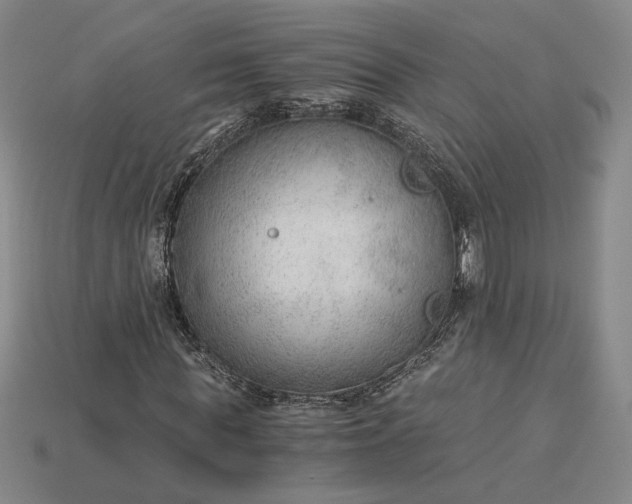 X0000115260819200911131744