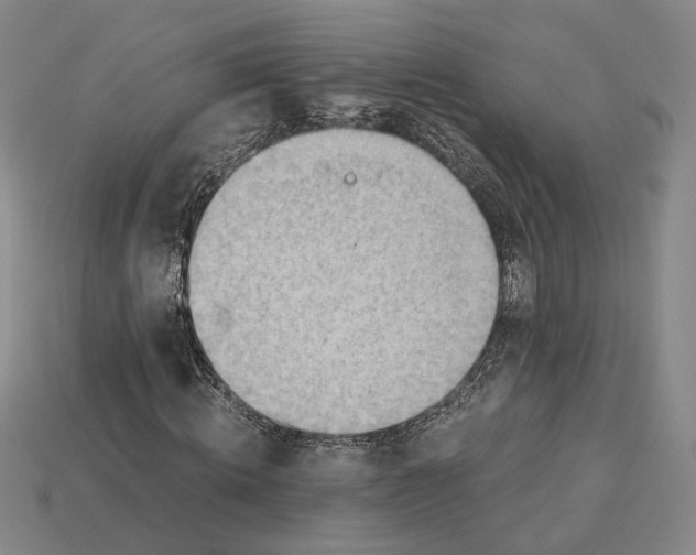 X0000115260820200911131744