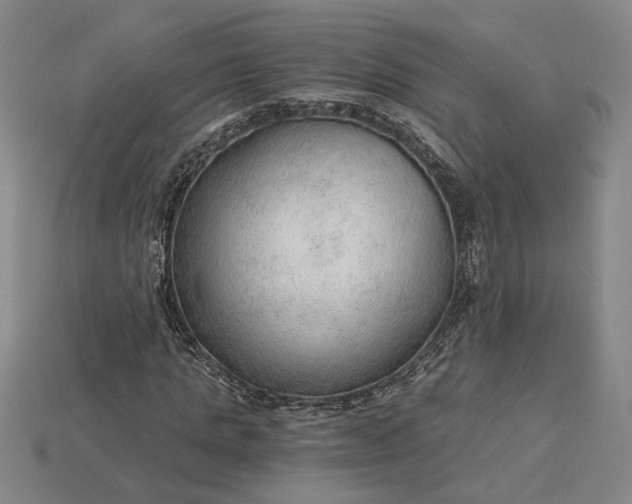 X0000115260821200911131744