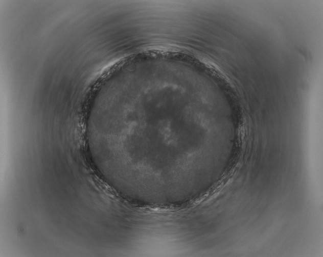 X0000115260822200911131744