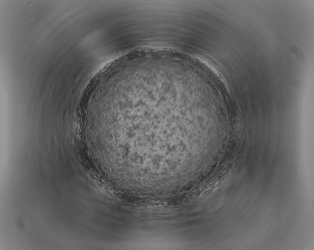 X0000115260823200911131744
