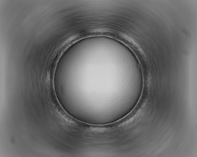 X0000115260825200911131744