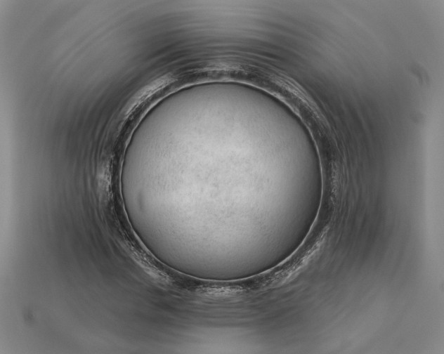 X0000115260826200911131744