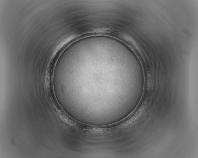 X0000115260827200911131744