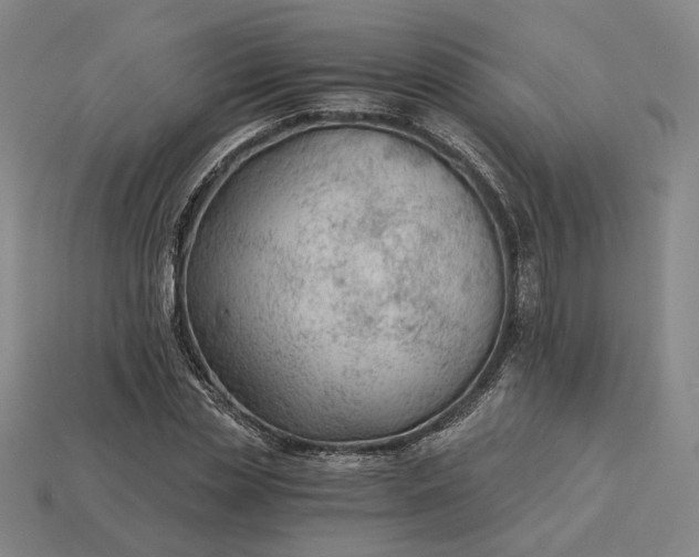 X0000115260829200911131744