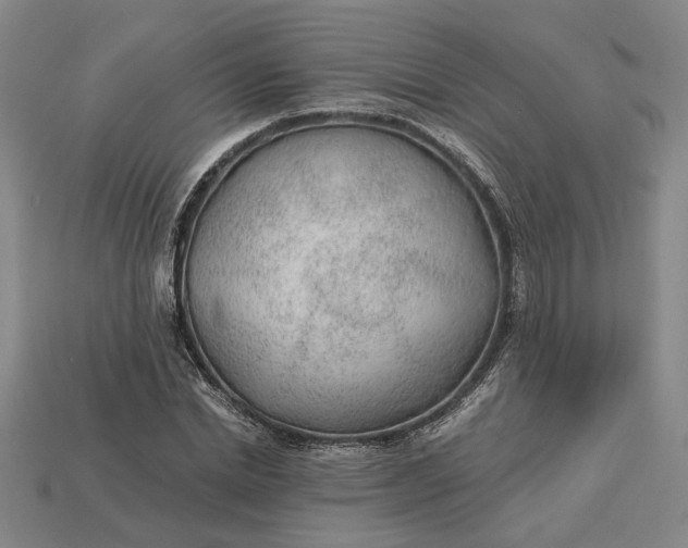 X0000115260830200911131744