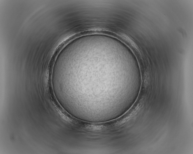X0000115260831200911131744