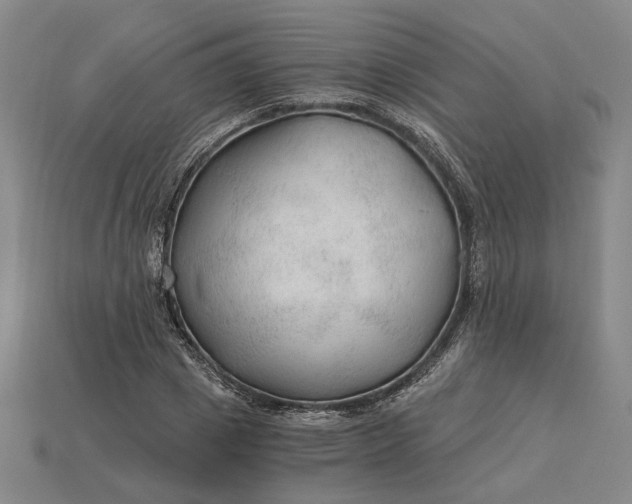 X0000115260833200911131744