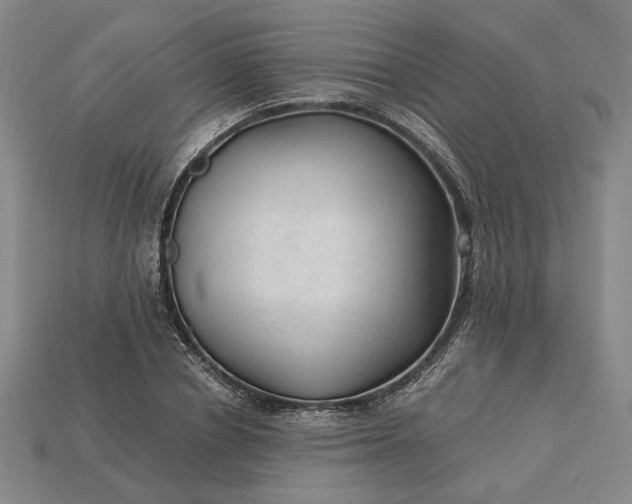 X0000115260834200911131744