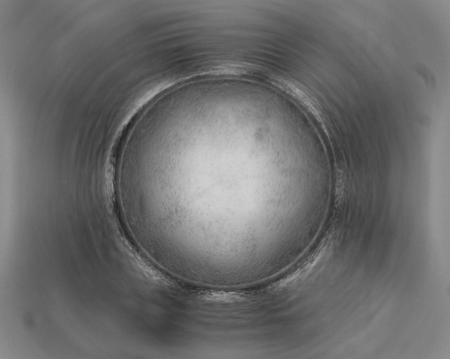 X0000115260835200911131744
