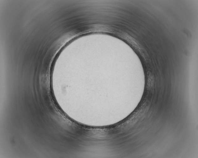 X0000115260836200911131744