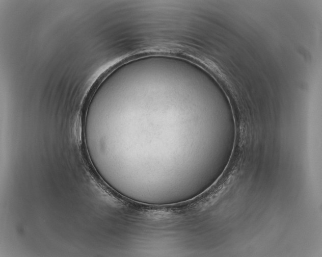 X0000115260838200911131744