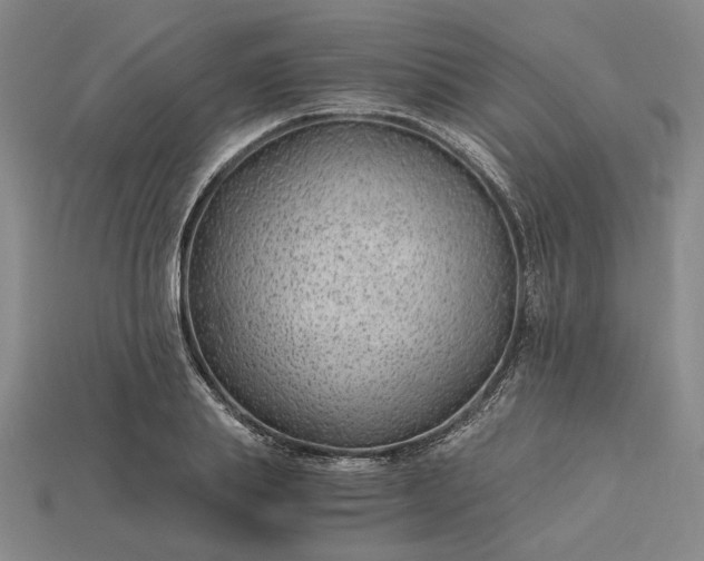 X0000115260839200911131744