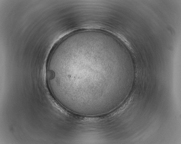 X0000115260840200911131744