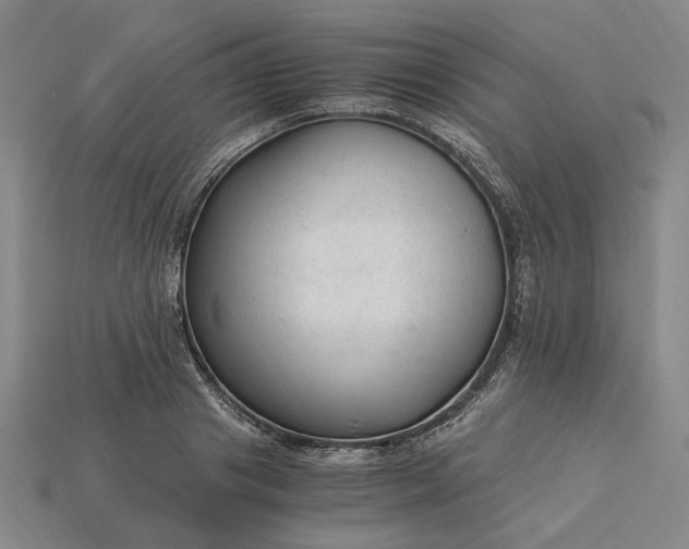 X0000115260841200911131744